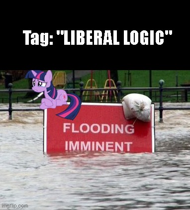 When the tag hits close to home | Tag: "LIBERAL LOGIC" | image tagged in my little pony flooding tears warning,liberal logic,we all know that one twilight pony,you | made w/ Imgflip meme maker