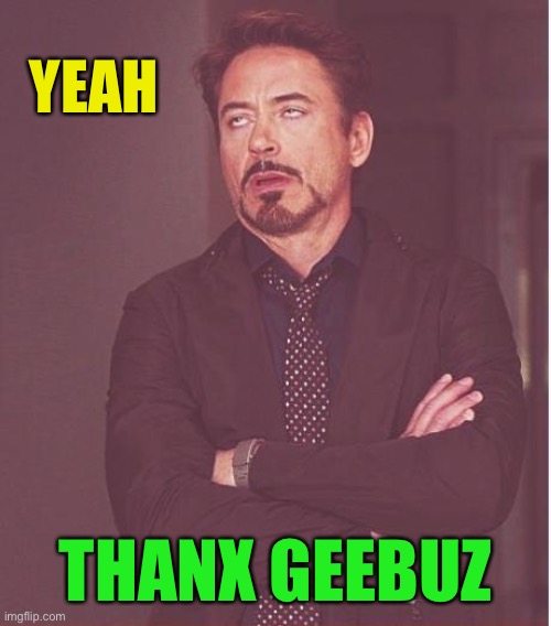 Face You Make Robert Downey Jr Meme | YEAH THANX GEEBUZ | image tagged in memes,face you make robert downey jr | made w/ Imgflip meme maker