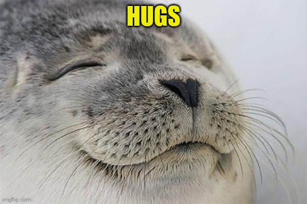 Satisfied Seal Meme | HUGS | image tagged in memes,satisfied seal | made w/ Imgflip meme maker