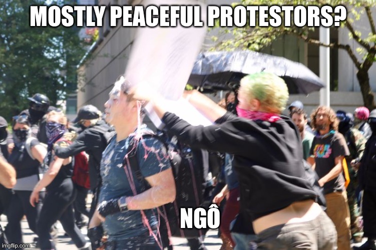 Andy Ngô | MOSTLY PEACEFUL PROTESTORS? NGÔ | image tagged in peaceful | made w/ Imgflip meme maker