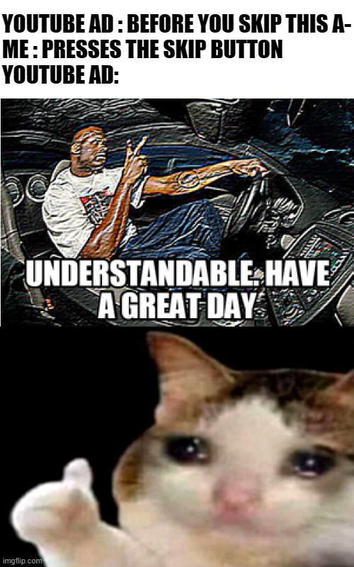 YOUTUBE AD : BEFORE YOU SKIP THIS A-
ME : PRESSES THE SKIP BUTTON
YOUTUBE AD: | image tagged in understandable have a great day,sad cat thumbs up | made w/ Imgflip meme maker