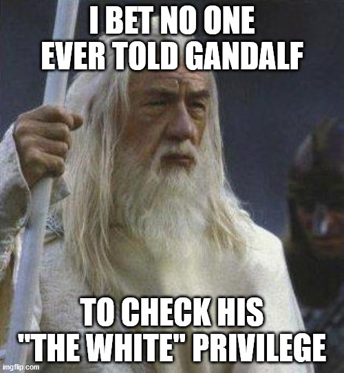 The White | I BET NO ONE EVER TOLD GANDALF; TO CHECK HIS "THE WHITE" PRIVILEGE | image tagged in gandalf | made w/ Imgflip meme maker