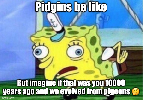 Spongebob pidgeon | Pidgins be like; But imagine if that was you 10000 years ago and we evolved from pigeons 🤔 | image tagged in memes,mocking spongebob,spongebob,spongebob ight imma head out,imagination spongebob,spongebob burning paper | made w/ Imgflip meme maker