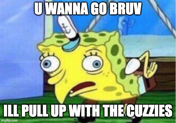Mocking Spongebob | U WANNA GO BRUV; ILL PULL UP WITH THE CUZZIES | image tagged in memes,mocking spongebob | made w/ Imgflip meme maker