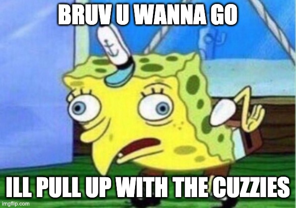 Mocking Spongebob | BRUV U WANNA GO; ILL PULL UP WITH THE CUZZIES | image tagged in memes,mocking spongebob | made w/ Imgflip meme maker