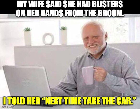 Harold | MY WIFE SAID SHE HAD BLISTERS ON HER HANDS FROM THE BROOM. I TOLD HER “NEXT TIME TAKE THE CAR.” | image tagged in harold | made w/ Imgflip meme maker