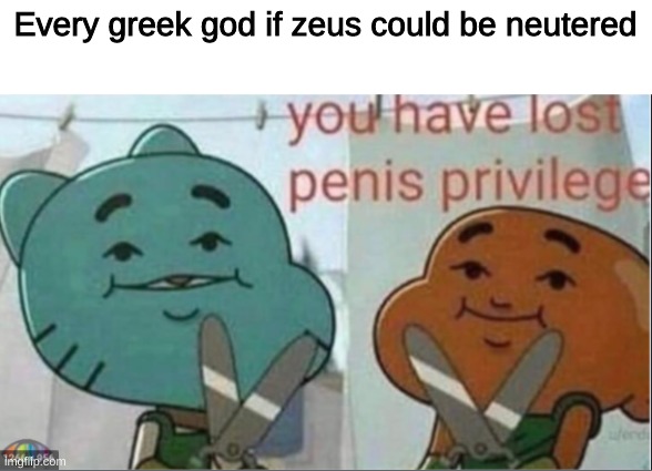 You have lost penis privilege | Every greek god if zeus could be neutered | image tagged in you have lost penis privilege | made w/ Imgflip meme maker