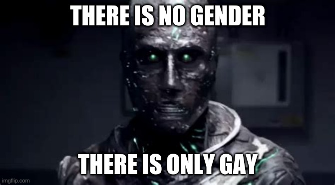 there is no gender there is only gay | THERE IS NO GENDER; THERE IS ONLY GAY | image tagged in there is no victor,there is no,victor von doom,fantastic four | made w/ Imgflip meme maker
