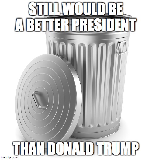A garbage can would be better than Trump at this point! | STILL WOULD BE A BETTER PRESIDENT; THAN DONALD TRUMP | image tagged in memes,politics,donald trump,garbage can | made w/ Imgflip meme maker