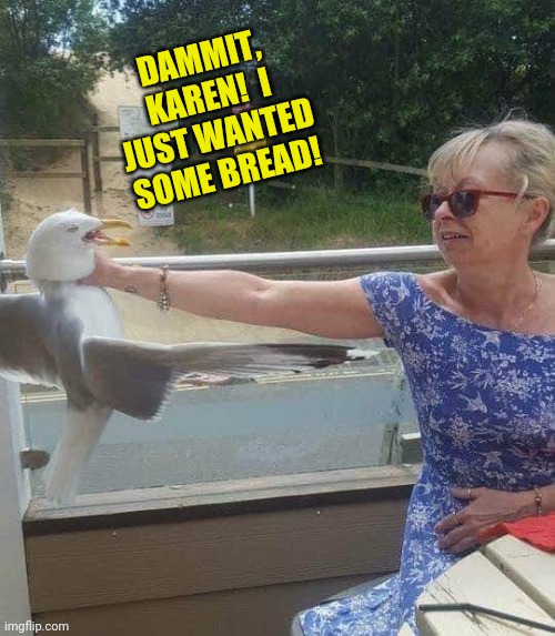 The Bird Slayer | DAMMIT, KAREN!  I JUST WANTED SOME BREAD! | image tagged in bird,choking,karen,funny memes | made w/ Imgflip meme maker