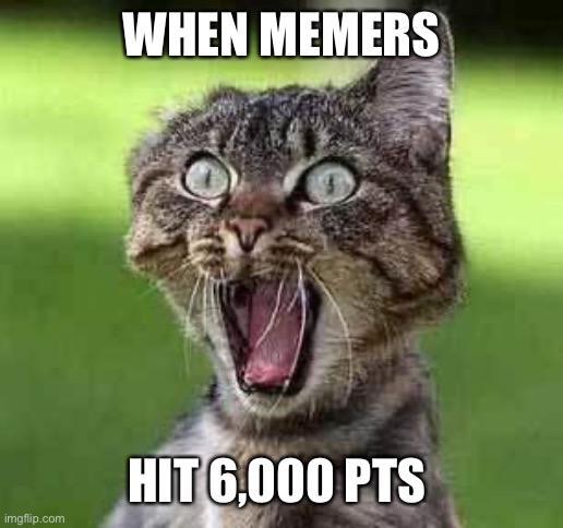 Haha got 6000 pts | WHEN MEMERS; HIT 6,000 PTS | image tagged in screaming cat,6000 pts,imgflip points,special | made w/ Imgflip meme maker