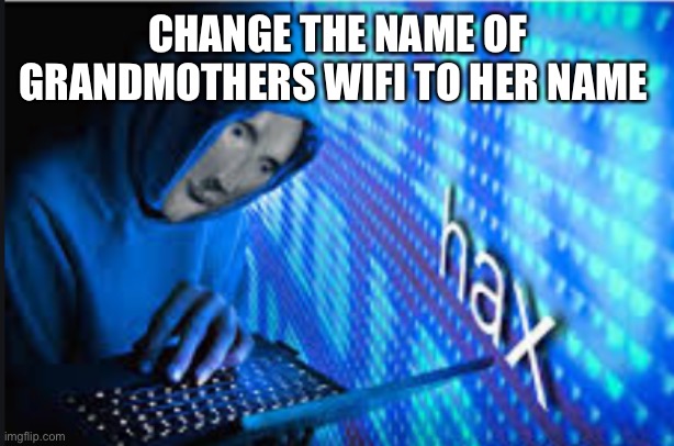 Hax0r | CHANGE THE NAME OF GRANDMOTHERS WIFI TO HER NAME | image tagged in hax | made w/ Imgflip meme maker