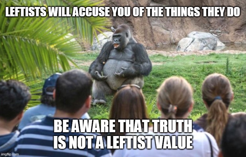 ted talk gorilla | LEFTISTS WILL ACCUSE YOU OF THE THINGS THEY DO BE AWARE THAT TRUTH IS NOT A LEFTIST VALUE | image tagged in ted talk gorilla | made w/ Imgflip meme maker