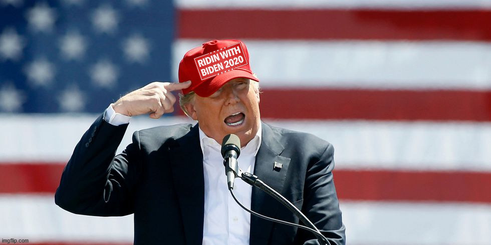 Trump MAGA Hat | image tagged in trump maga hat | made w/ Imgflip meme maker