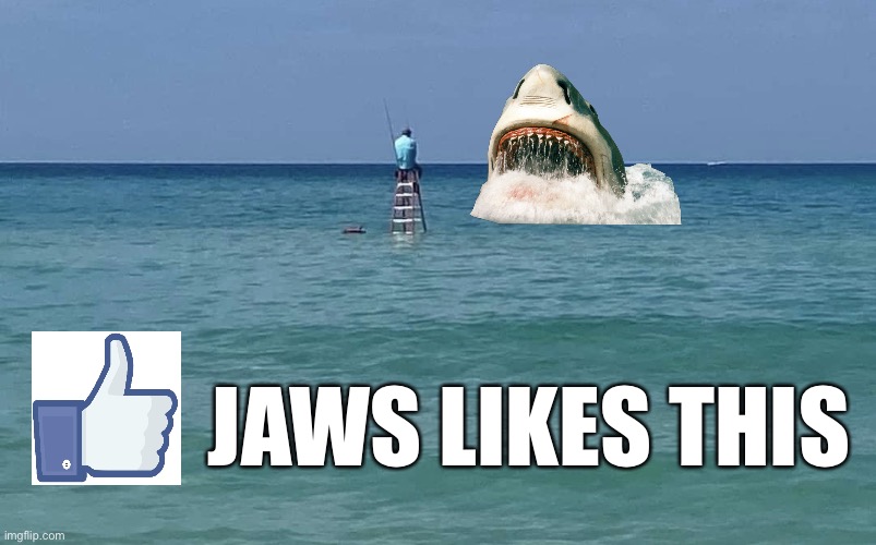 Jaws Likes This | JAWS LIKES THIS | image tagged in fishing,jaws,shark,sharks,florida,florida man | made w/ Imgflip meme maker