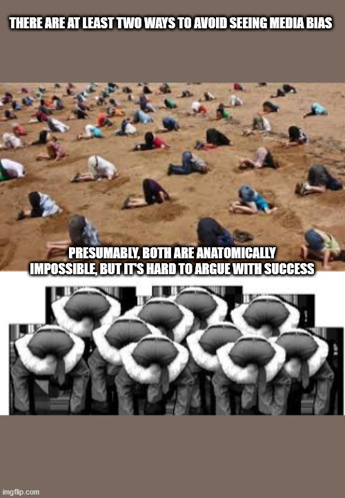Can't handle the truth | THERE ARE AT LEAST TWO WAYS TO AVOID SEEING MEDIA BIAS; PRESUMABLY, BOTH ARE ANATOMICALLY IMPOSSIBLE, BUT IT'S HARD TO ARGUE WITH SUCCESS | image tagged in head up ass,head in sand,ignorance | made w/ Imgflip meme maker