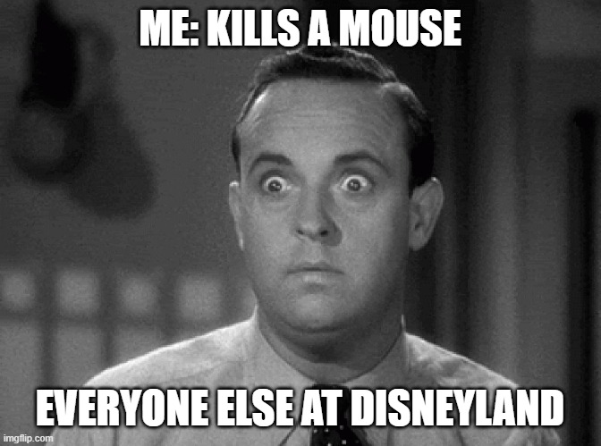 shocked face | ME: KILLS A MOUSE; EVERYONE ELSE AT DISNEYLAND | image tagged in shocked face | made w/ Imgflip meme maker