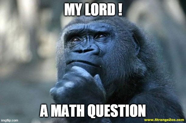 Deep Thoughts | MY LORD ! A MATH QUESTION | image tagged in deep thoughts | made w/ Imgflip meme maker