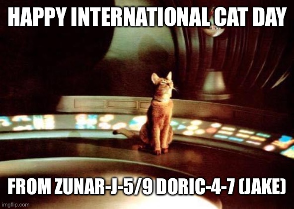 Outer space Cat Day | HAPPY INTERNATIONAL CAT DAY; FROM ZUNAR-J-5/9 DORIC-4-7 (JAKE) | image tagged in international cat day,cat,cat from outer space,disney | made w/ Imgflip meme maker