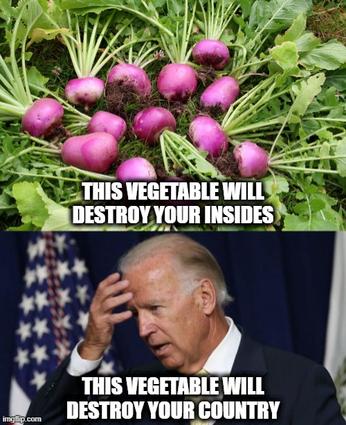 THIS VEGETABLE WILL DESTROY YOUR INSIDES; THIS VEGETABLE WILL DESTROY YOUR COUNTRY | image tagged in joe biden,memes,senile creep,stupid liberals,election 2020 | made w/ Imgflip meme maker