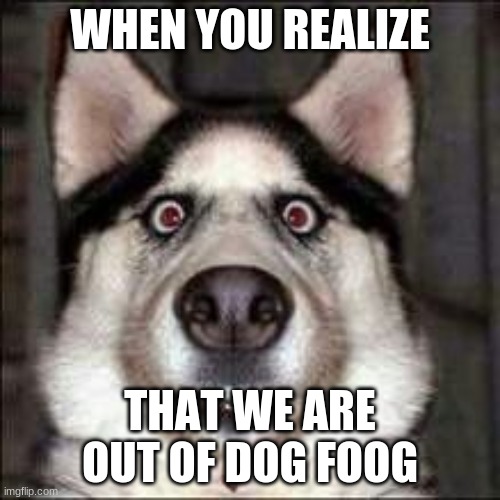 NO! | WHEN YOU REALIZE; THAT WE ARE OUT OF DOG FOOG | image tagged in dog fun | made w/ Imgflip meme maker
