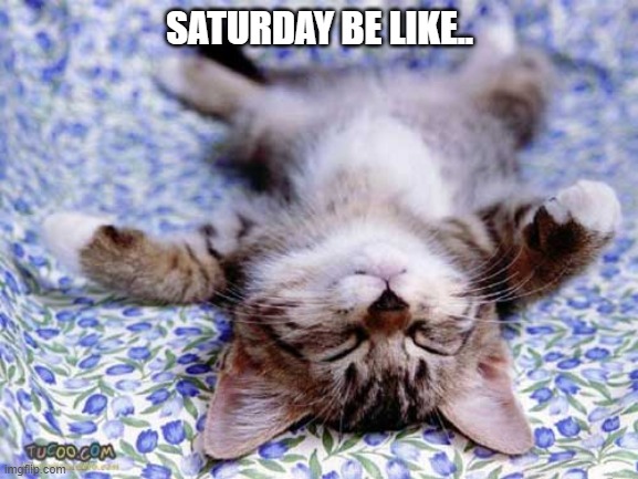 SATURDAY BE LIKE.. | image tagged in relax | made w/ Imgflip meme maker