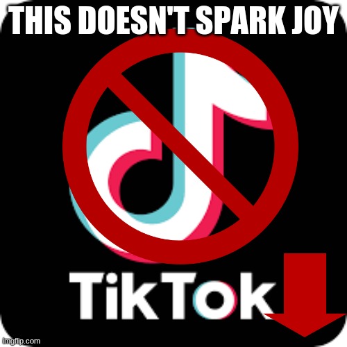 ban tiktok RN | THIS DOESN'T SPARK JOY | image tagged in tik tok | made w/ Imgflip meme maker