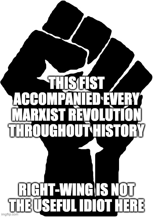THIS FIST ACCOMPANIED EVERY MARXIST REVOLUTION THROUGHOUT HISTORY RIGHT-WING IS NOT THE USEFUL IDIOT HERE | made w/ Imgflip meme maker