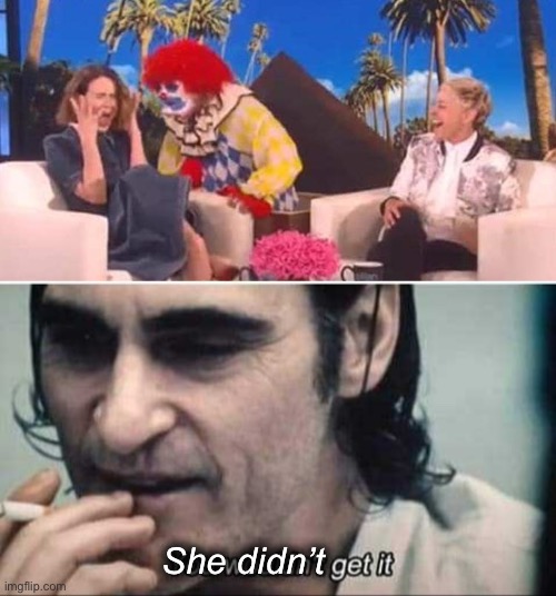 She didn’t | image tagged in you wouldn't get it,joker,surprise,memes,funny | made w/ Imgflip meme maker