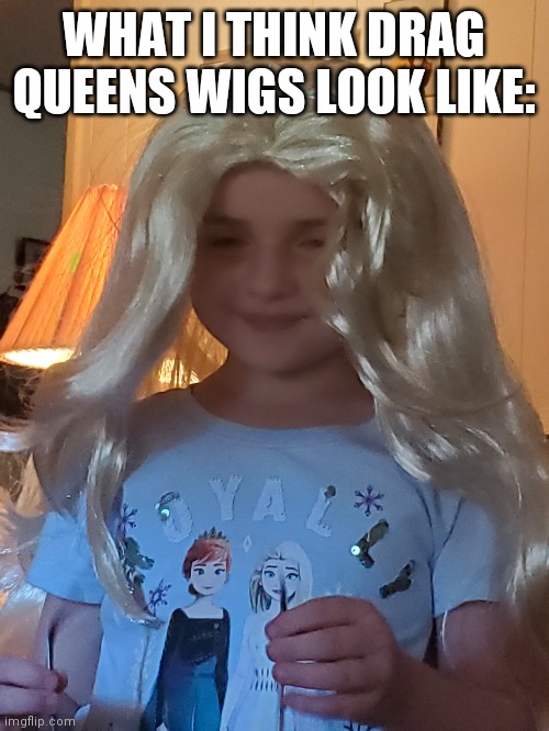 Wigz | WHAT I THINK DRAG QUEENS WIGS LOOK LIKE: | image tagged in memes,custom template | made w/ Imgflip meme maker