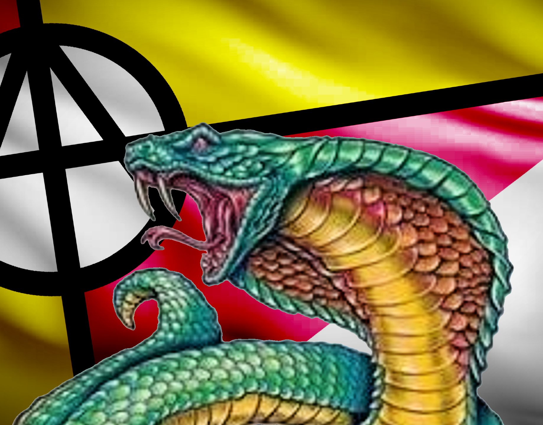 Katowish federation patriotic banner Blank Meme Template