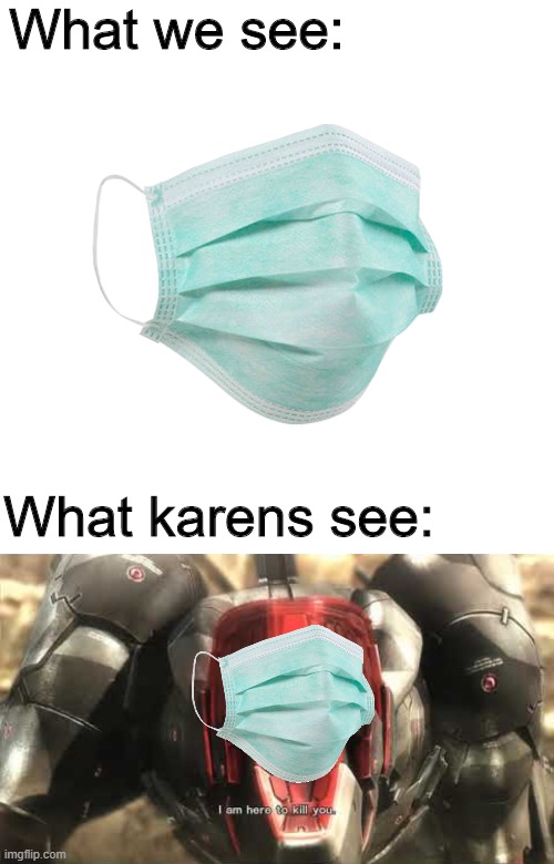 what we see vs what karens see | What we see:; What karens see: | image tagged in face mask,i am here to kill you,karen | made w/ Imgflip meme maker