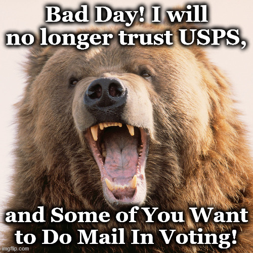 bear | Bad Day! I will no longer trust USPS, and Some of You Want to Do Mail In Voting! | image tagged in bear | made w/ Imgflip meme maker