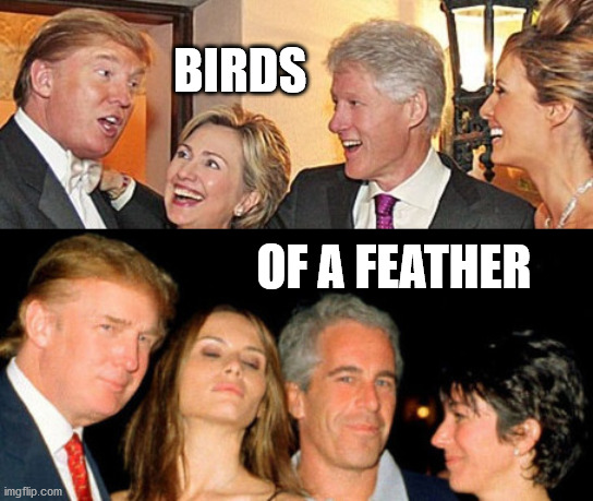 BIRDS OF A FEATHER - Imgflip