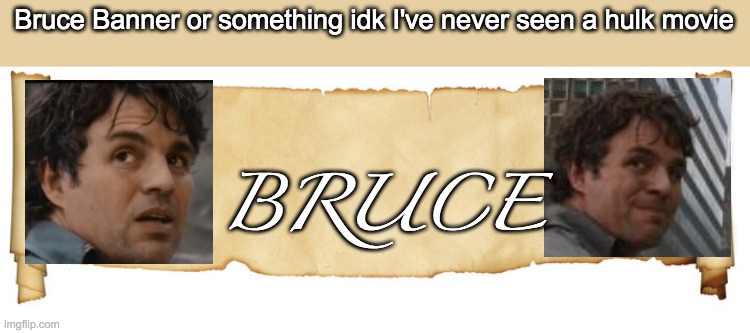 I have not, ever | Bruce Banner or something idk I've never seen a hulk movie; BRUCE | image tagged in banner | made w/ Imgflip meme maker