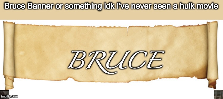 I really never have! | Bruce Banner or something idk I've never seen a hulk movie; BRUCE | image tagged in banner | made w/ Imgflip meme maker