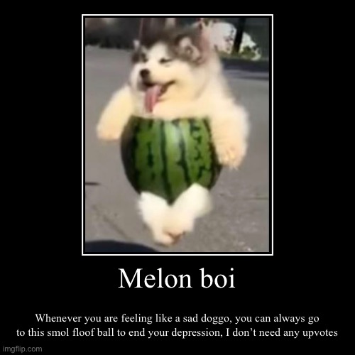 Melon boi | image tagged in funny,demotivationals | made w/ Imgflip demotivational maker