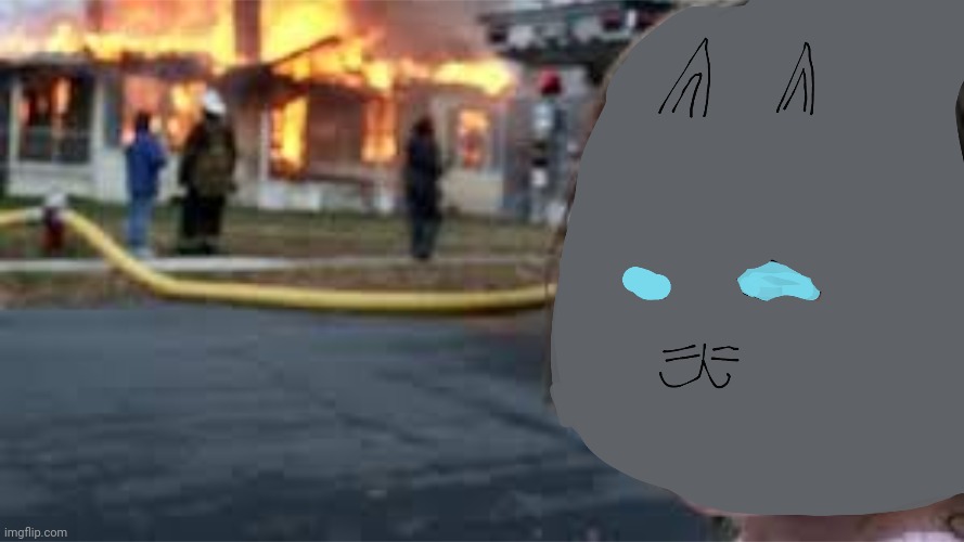 Disaster Cat | image tagged in disaster cat | made w/ Imgflip meme maker