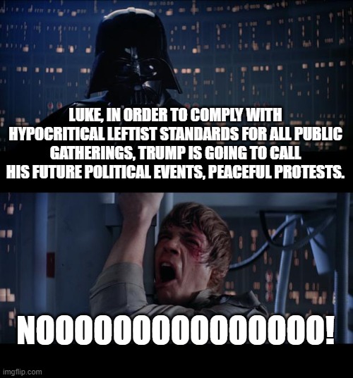 Star Wars No | LUKE, IN ORDER TO COMPLY WITH HYPOCRITICAL LEFTIST STANDARDS FOR ALL PUBLIC GATHERINGS, TRUMP IS GOING TO CALL HIS FUTURE POLITICAL EVENTS, PEACEFUL PROTESTS. NOOOOOOOOOOOOOOO! | image tagged in memes,star wars no | made w/ Imgflip meme maker