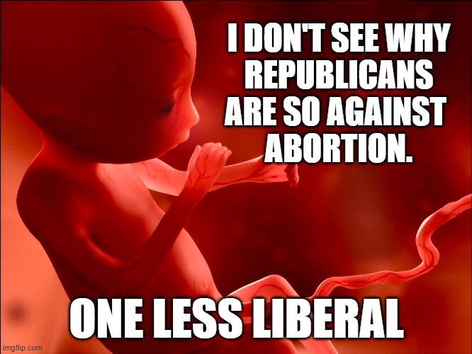 ♫...and away go troubles...down the drain. ♫ | I DON'T SEE WHY
REPUBLICANS
ARE SO AGAINST 
ABORTION. ONE LESS LIBERAL | image tagged in abortion,liberals,memes | made w/ Imgflip meme maker