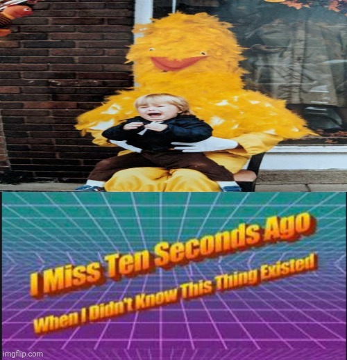 Cursed big bird | image tagged in i miss ten seconds ago when i didn't know this thing existed,cursed | made w/ Imgflip meme maker