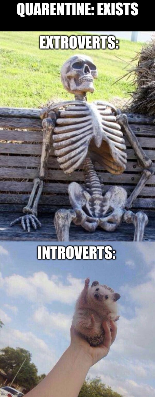 EXTROVERTS:; QUARENTINE: EXISTS; INTROVERTS: | image tagged in memes,waiting skeleton,lets go | made w/ Imgflip meme maker