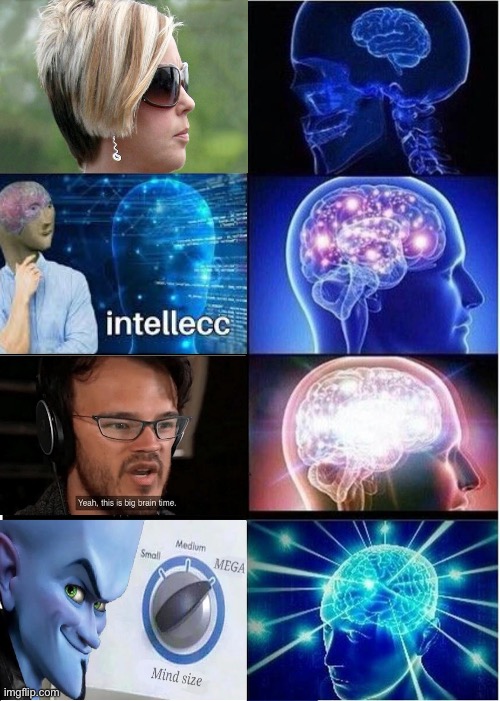Brain | image tagged in memes,expanding brain,karen,meme man,big brain time,mind size mega | made w/ Imgflip meme maker