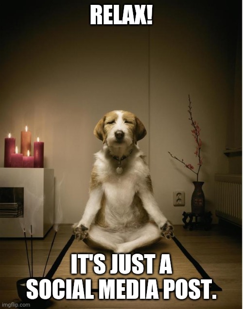 dog meditation funny | RELAX! IT'S JUST A SOCIAL MEDIA POST. | image tagged in dog meditation funny | made w/ Imgflip meme maker