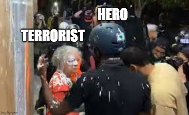 How BLM and Antifa think when they are at the Portland Riots. | HERO; TERRORIST | image tagged in old lady getting paint thrown in her face | made w/ Imgflip meme maker