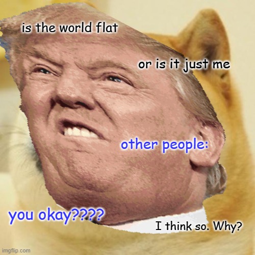 Bruh????? | is the world flat; or is it just me; other people:; you okay???? I think so. Why? | image tagged in donald trump | made w/ Imgflip meme maker