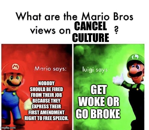 Cancel culture | CANCEL CULTURE; NOBODY SHOULD BE FIRED FROM THEIR JOB BECAUSE THEY EXPRESS THEIR FIRST AMENDMENT RIGHT TO FREE SPEECH. GET WOKE OR GO BROKE | image tagged in mario bros views | made w/ Imgflip meme maker