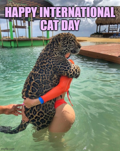 Here's to Kittehs all over the world. | HAPPY INTERNATIONAL
CAT DAY | image tagged in leopard | made w/ Imgflip meme maker
