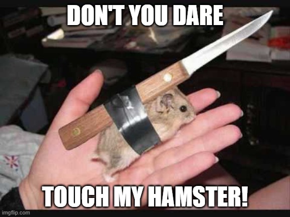 Lock and Load Hamster | DON'T YOU DARE TOUCH MY HAMSTER! | image tagged in lock and load hamster | made w/ Imgflip meme maker