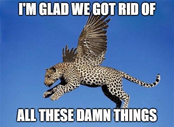 And some wanted them protected | I'M GLAD WE GOT RID OF; ALL THESE DAMN THINGS | image tagged in cats,memes,fun,funny,leopards,2020 | made w/ Imgflip meme maker